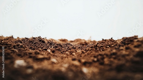 Close Up Of Moist Brown Fresh Soil on a White Background .generative ai