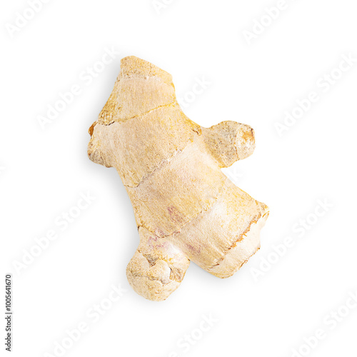 Top view of one fresh raw ripe aromatic ginger root isolated on white background used as healthy fragrant spice for food flavouring for asian indian cuisine and drinks and for traditional medicine