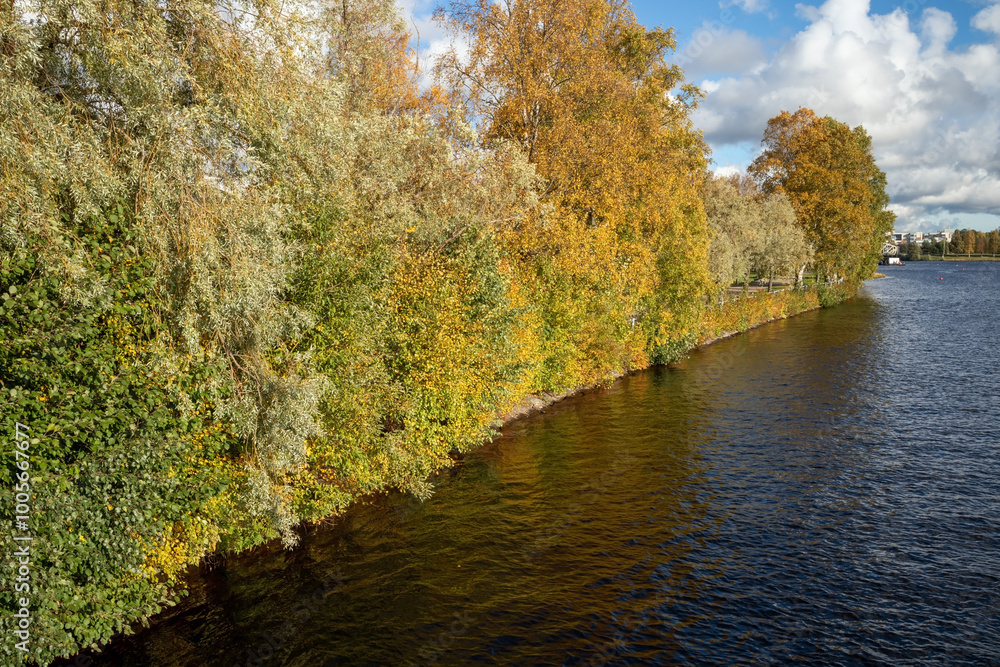 autumn trees by the river Oulujoki, Oulu Finland autumn trees by the river Oulujoki, Oulu Finland
