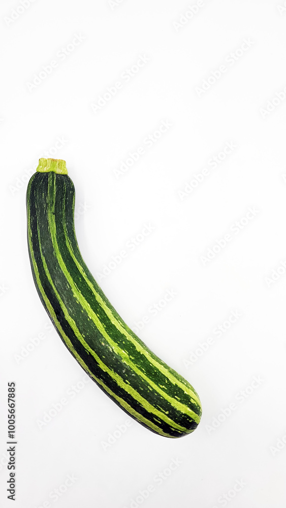 縞模様のズッキーニ・緑色/striped zucchini green/줄무늬 모양의 호박, 녹색 縞模様のズッキーニ・緑色/striped zucchini green/줄무늬 모양의 호박, 녹색