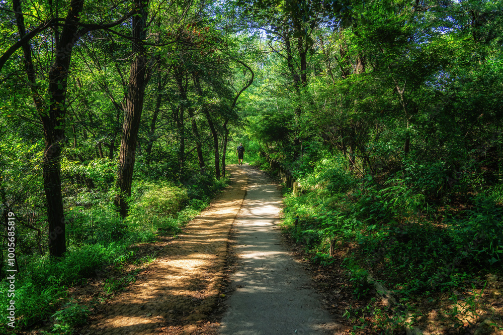 Walking trails in Seoul, South Korea Walking trails in Seoul, South Korea