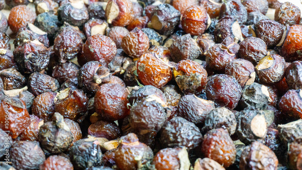 Sapindus rarak (Sapindus mukorossi, rerek, lamuran, Lerak). This fruit is made into a washing agent, a cleaner for various kitchen utensils, and soap. Sapindus rarak (Sapindus mukorossi, rerek, lamuran, Lerak). This fruit is made into a washing agent, a cleaner for various kitchen utensils, and soap.