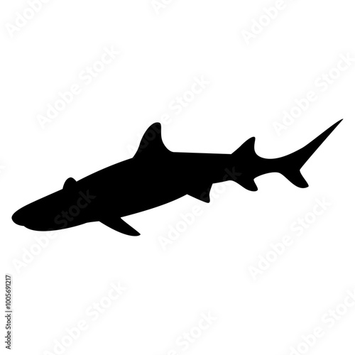 Shark Silhouette Vector