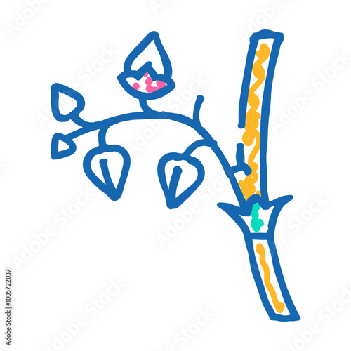 buckwheat plant healthy doodle icon sketch vector. buckwheat plant healthy sign. isolated symbol illustration