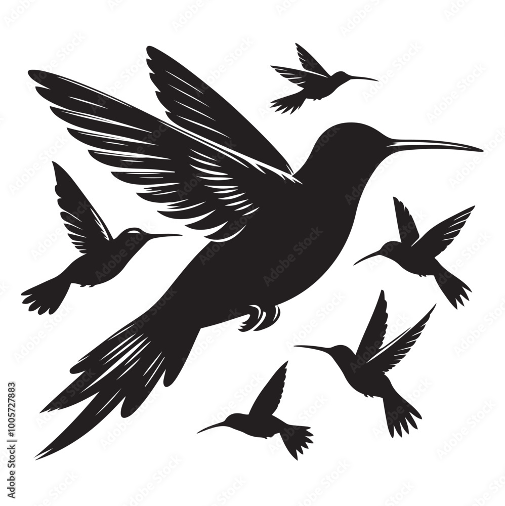 Obraz premium Birds silhouette