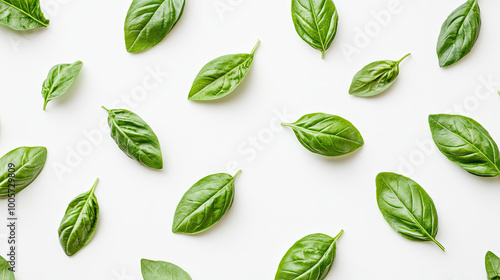 mint leaves on a transparent background