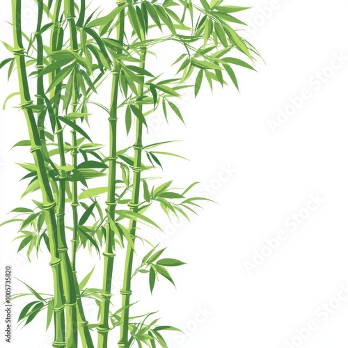 Lush green bamboo stalks standing tall, perfect for nature-themed projects or backgrounds. photo