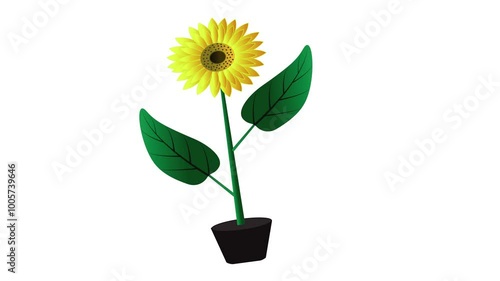 Simple swaying sunflower animation