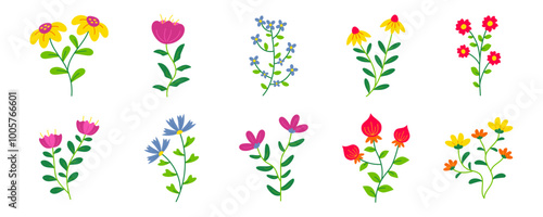 Flower Illustration Set