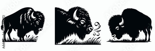 Three stylized illustrations of bison in black and white, showcasing various poses and details of this iconic North American animal. photo