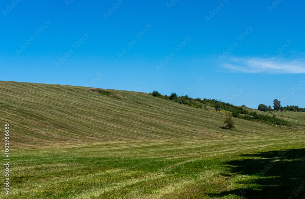 Rolling Green Hills Under Clear Blue Sky Rolling Green Hills Under Clear Blue Sky