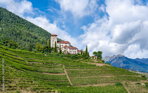 Landscape of wine yard  at South Tyrol, Italy seen from famous Waalwege hiking trail. photo