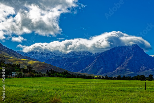 Green wheat below snow covered mountain after winter storm near Worcester in the Western Cape, South Africa