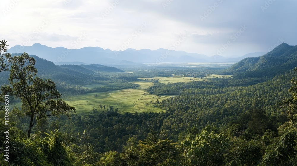 Fototapeta premium A panoramic view of Khao Yai National Park from a popular viewpoint in Korat.