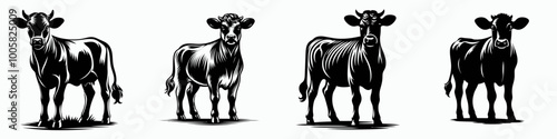 A series of black and white illustrations depicting cows from different angles, showcasing their distinct features and anatomy.