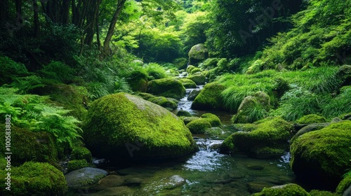 Serene view of the Rock Garden at Mt. Mitake, with lush moss-covered rocks and a clear stream flowing through the peaceful valley surrounded by dense greenery.