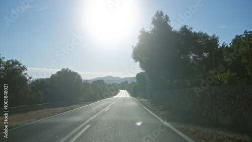 Sunny rural road surrounded by trees and stone walls leading towards distant mountains under a clear blue sky.