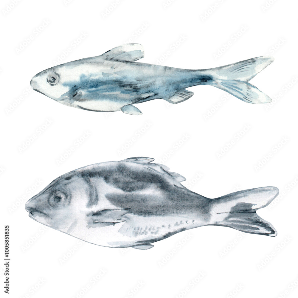 Set of swimming fish in watercolor. The shiny fish scales and fins are painted in blue and black on white background. A small fish with big fish swim in the same direction. Hand painting illustration Set of swimming fish in watercolor. The shiny fish scales and fins are painted in blue and black on white background. A small fish with big fish swim in the same direction. Hand painting illustration