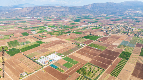 Aerial view of agricultural fields in the summer photo