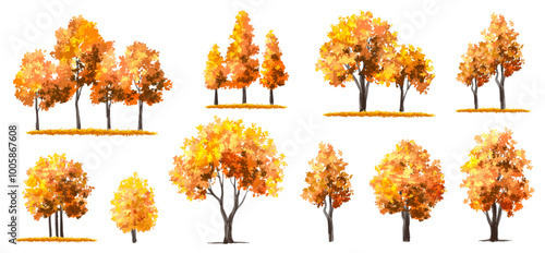 Vertor set of autumn tree,plants side view for landscape elevation and section,eco environment concept design,watercolor ginkgo tree illustration,colorfull
 season