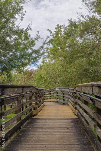 The wooded walking bridge transverses the vibrant colorful autumn and summer foliage at the New Tampa Nature Park