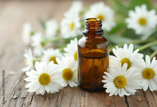 A glass bottle of essential oil surrounded by white daisy flowers on a wooden surface