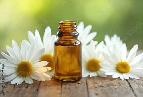 A glass bottle of essential oil surrounded by white daisy flowers on a wooden surface