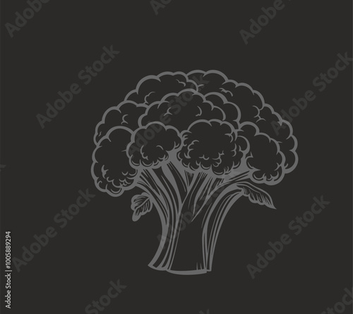 Broccoli hand-drawn vector Illustration Broccoli hand-drawn vector Illustration