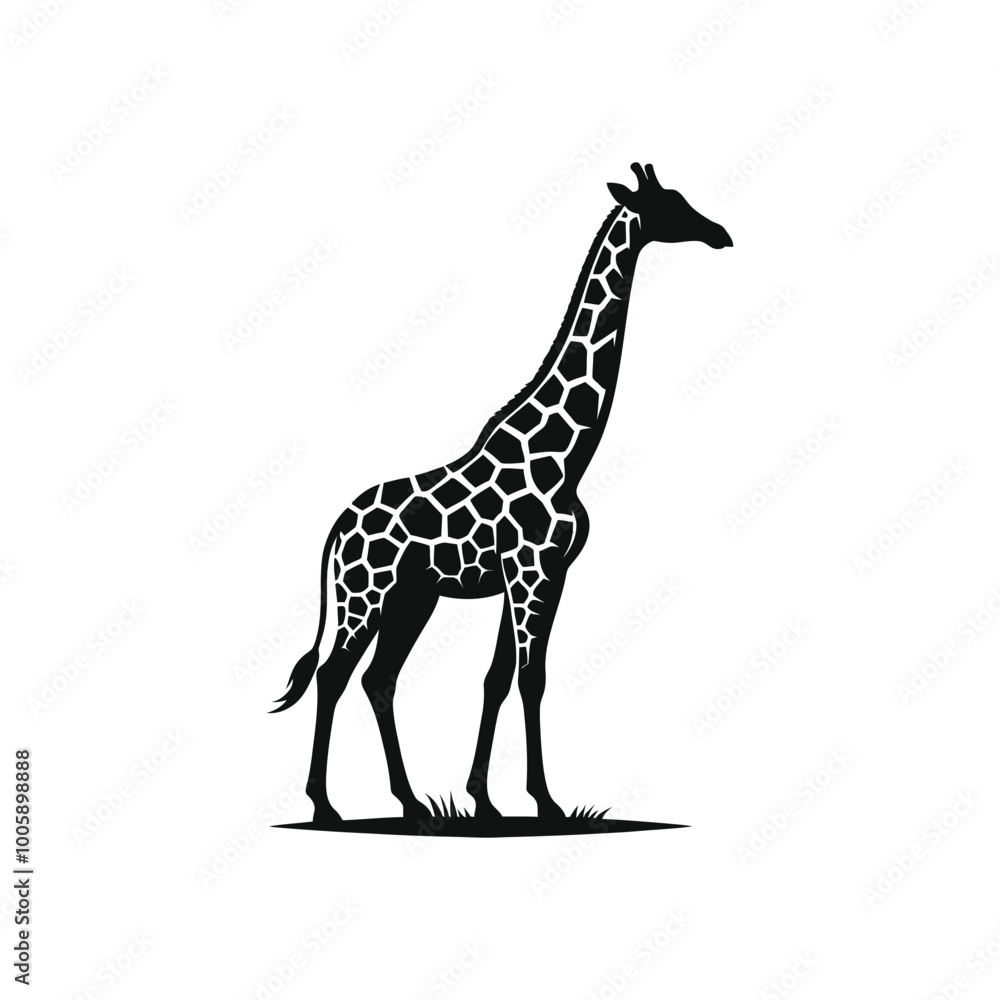 Fototapeta premium giraffe illustration