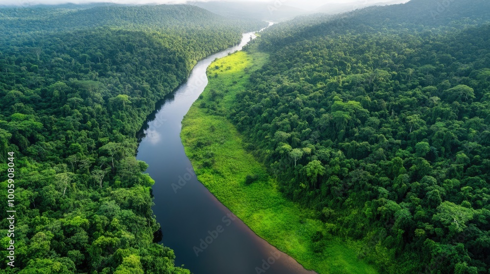 Aerial view of a serene river winding through lush green forest, showcasing the beauty of untouched nature and biodiversity. Aerial view of a serene river winding through lush green forest, showcasing the beauty of untouched nature and biodiversity.