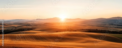 Wallpaper Mural Golden fields stretch under a serene sunset sky, creating a tranquil landscape perfect for nature lovers and landscape photography. Torontodigital.ca