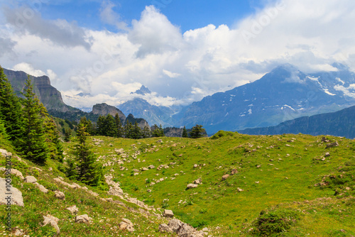 Tableau sur toile Panoramic view of snow-covered Swiss Alps and green flowering alpine meadow near