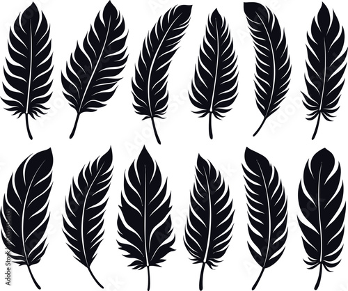 feather vector silhouette images art illustration