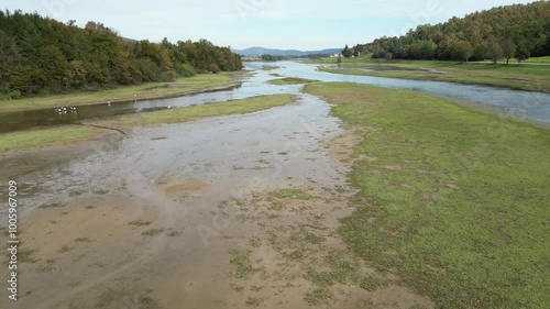 Lake Sabljaci in Croatia. Dron flies over the lake. Ducks and ardea, ardeidae on the lake. Nature background with birds 