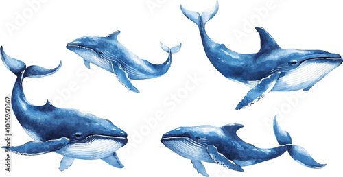 Watercolor vector illustration of cute blue whales and dolphins on a white background