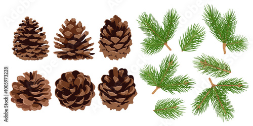 Set of pine cones and pine branches isolated on white background. Hand drawn Christmas decor.	