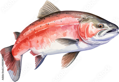 Slamon fish