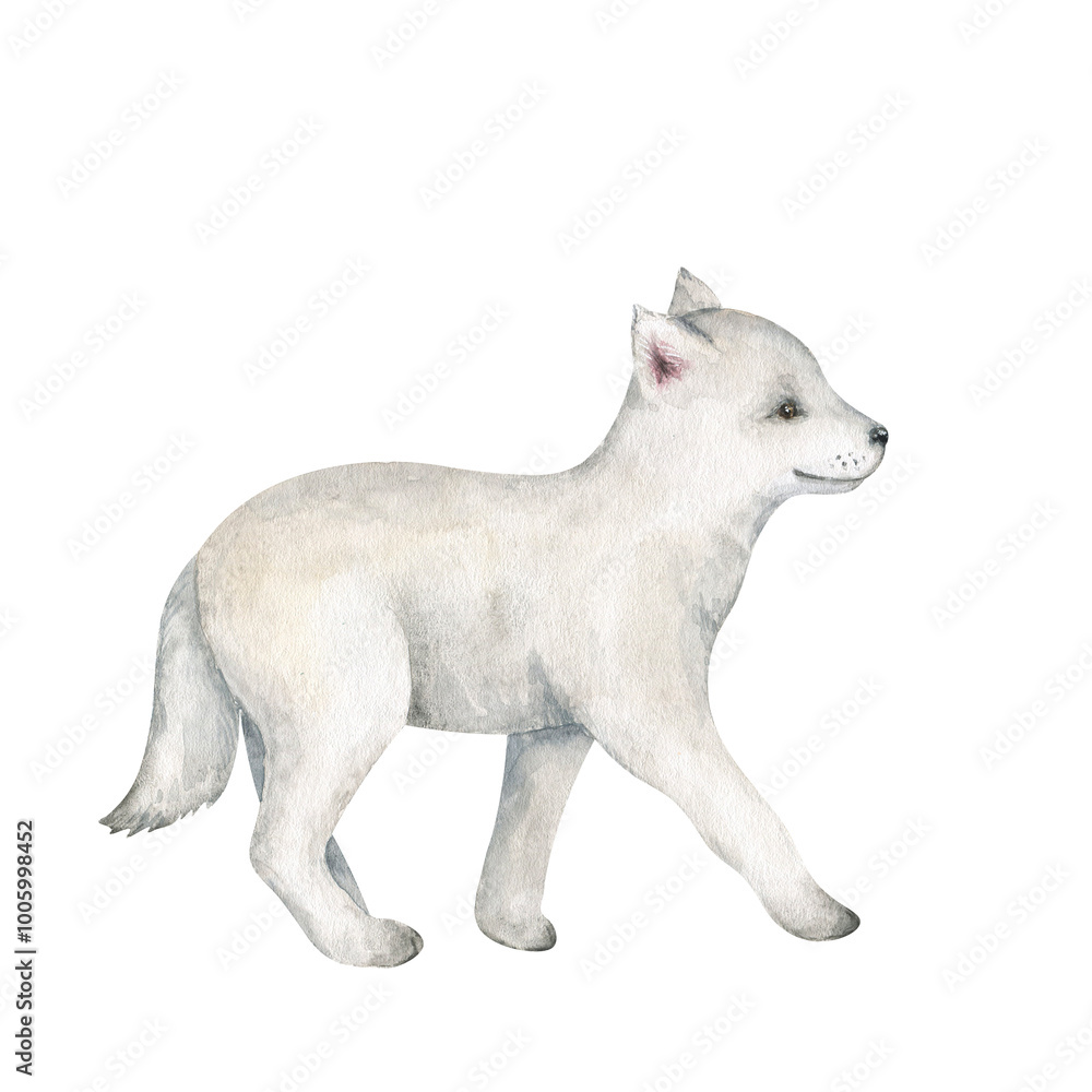 Fototapeta premium Cute white wolf cub. Watercolor hand drawn illustration. Wild woodland baby animal character. Children graphic. for cards, prints, posters, scrapbooking.