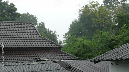Wallpaper Mural aerial view to the house's roof while heavy rainy weather with thunderstrom in Phuket town area in south of Thailand.heavy rain falling on the roof tile Torontodigital.ca