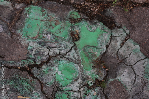 Fotografija Reste de conteneur à poubelles en plastique vert calciné sur le trottoir