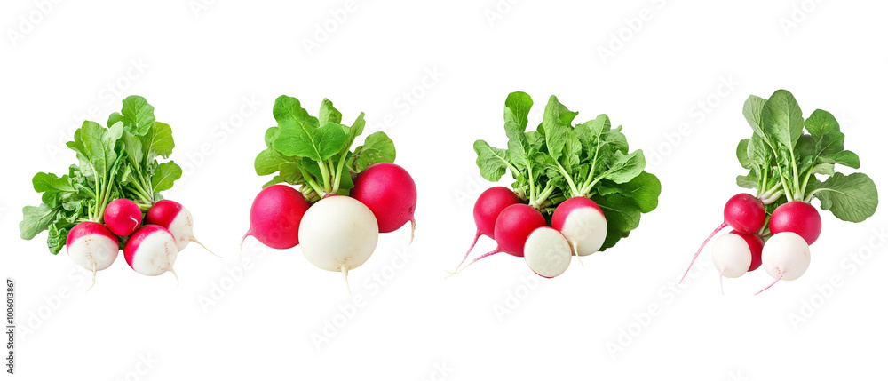 set of three fresh, organic pink and white radishes with leaves on top, isolated against a white background. set of three fresh, organic pink and white radishes with leaves on top, isolated against a white background.