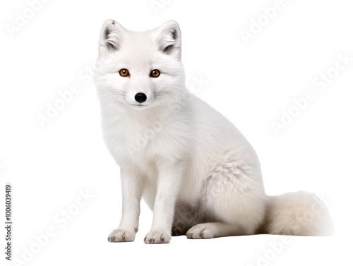 a white fox with orange eyes