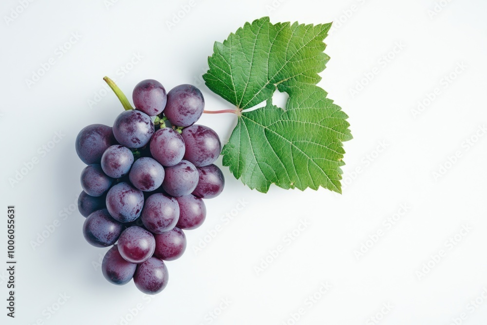 Fototapeta premium Fresh grapes with leaf