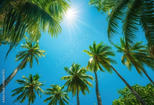 vibrant blue sky framed lush palm fronds offering tropical aesthetic refreshing natural scene  foliage  leaf  tree  nature  plant  greenery  sunshine