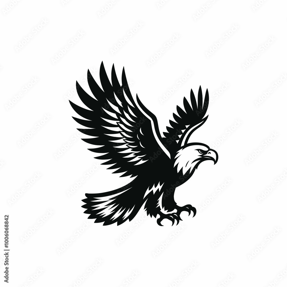 Fototapeta premium eagle with wings