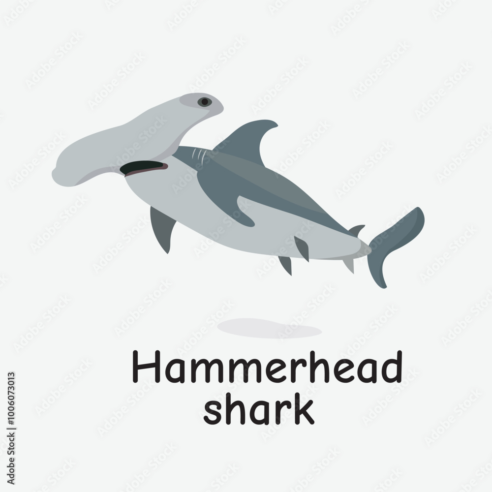 Hammerhead Shark Vector Illustration: Unique Marine Predator Hammerhead Shark Vector Illustration: Unique Marine Predator
