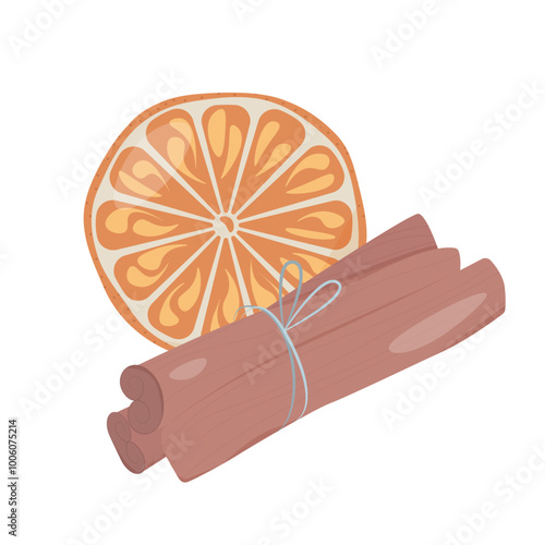 Cinnamon sticks and  dried orange slice. Aromatic composition. Vector illustration  