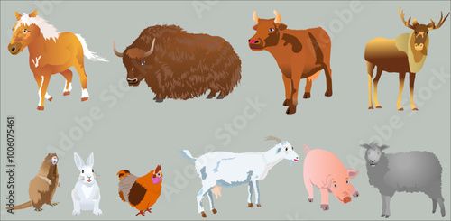 Farm animals set. Ten realistic style animals for farming. Vector illustration. 