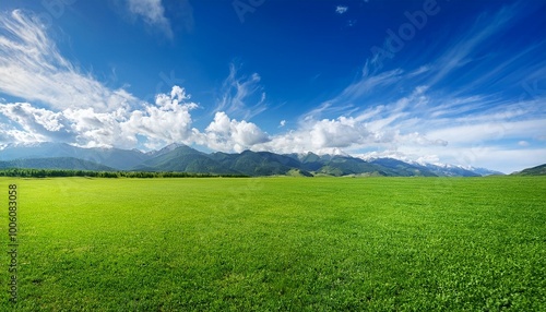 Vast Green Grass Field Under Vibrant Blue Sky with Fluffy White Clouds and Mountain Range in the Background - Idyllic Natural Landscape for Serenity and Freedom