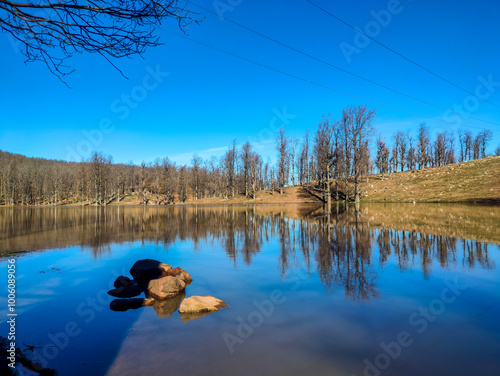 the reflection of leafless trees on the surface of the Lake of Serpents (Leghdir Melhenache) in the middle of Tamezguida forest at 1626 km altitude at sunset. Mila. Jijel. photo